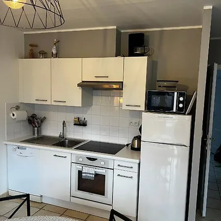 公寓 11 Les Pins Penches *